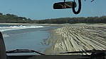 Fraser Island_P100-0507.jpg