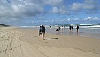 Fraser Island_R5a-1397.jpg
