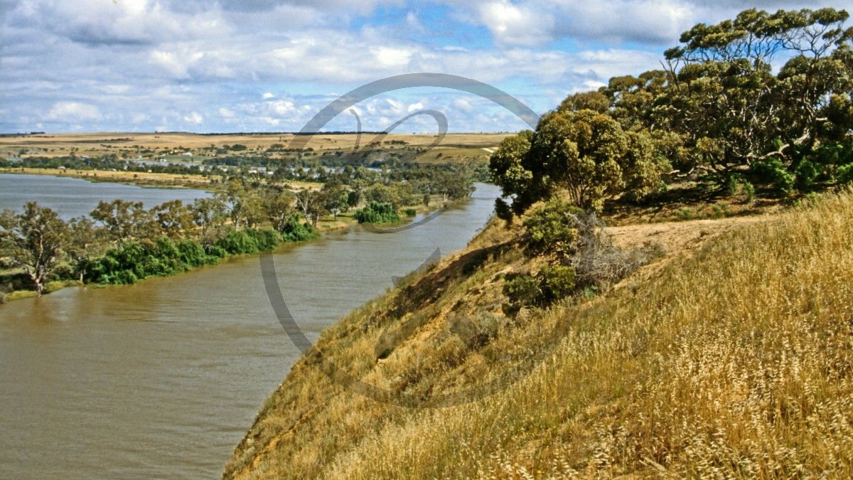 Murray River - Hochwasser bei Bow Hill_C04-25-01.jpg
