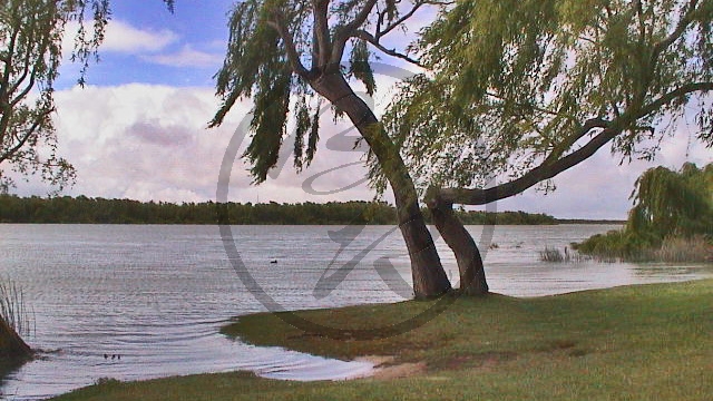 Murray River - Wellington - Hochwasser_SA-2003-416.jpg