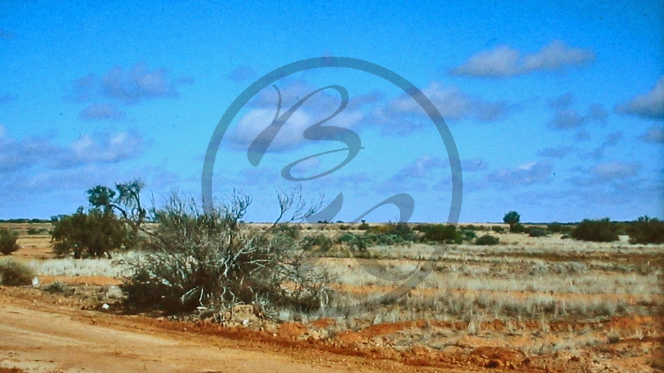 Outback - Birdsville Track_C04-30-22.JPG