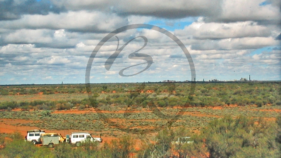 Outback - Buschland_C04-29-23.JPG