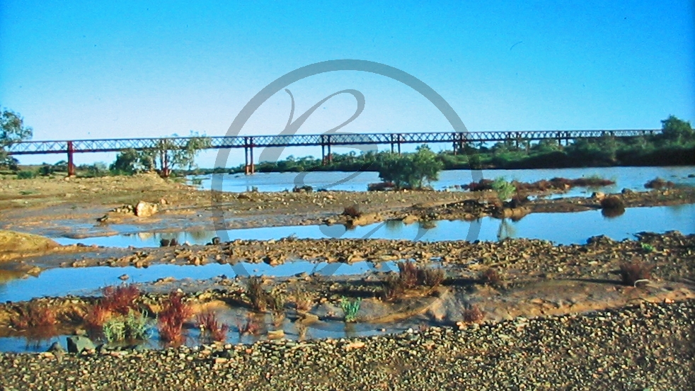 Outback - Neales River - Morast - Algebucka Brücke (bridge) - 576 Meter lang_C04-30-19.JPG