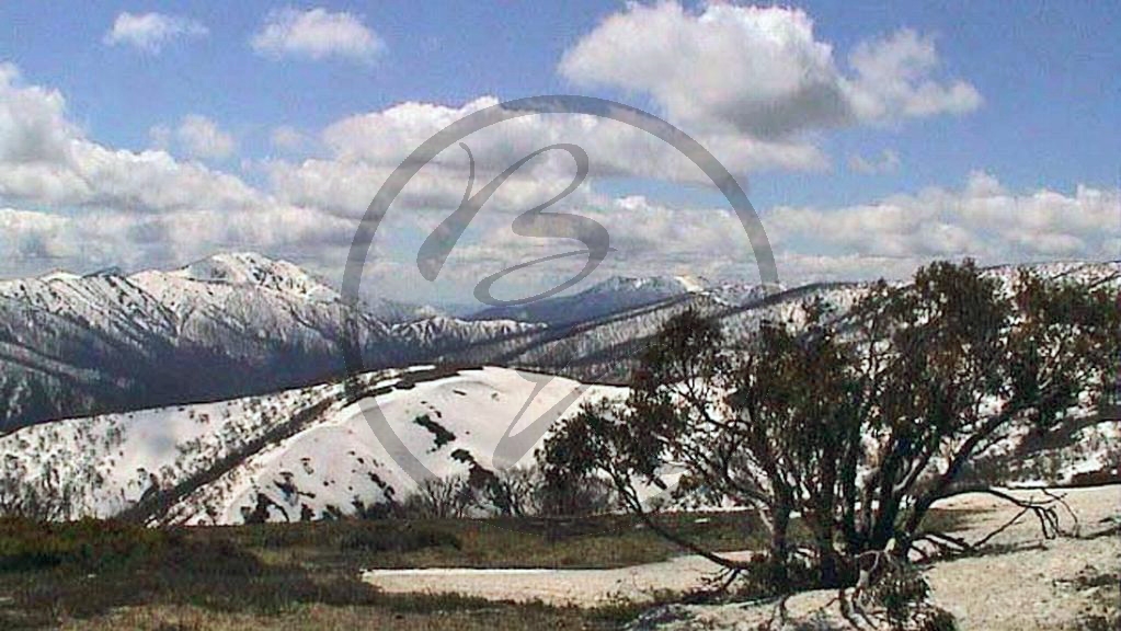 258_Alpine National Park, Hotham Heights (VIC-2003-374).jpg