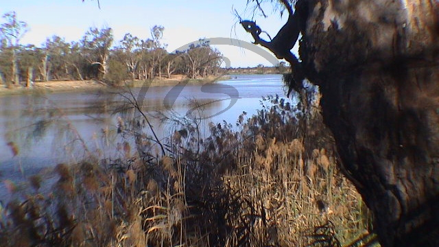 275_Murray River - Red Cliffs, Ufer (SA-2003-402).jpg